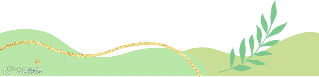 组 15.png