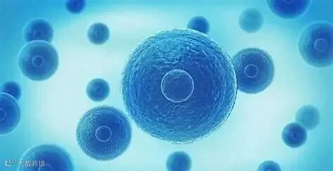 DDS | 生物大分子药物递送系统研究现状-世展网