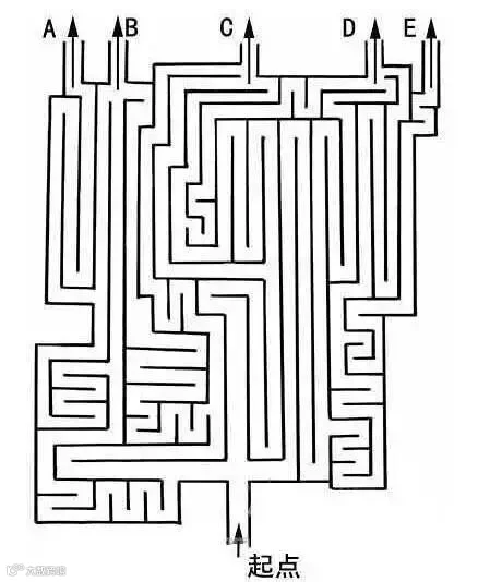 C14.jpg