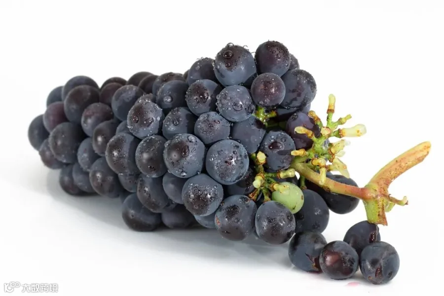 grapes-2032838_1280.jpg
