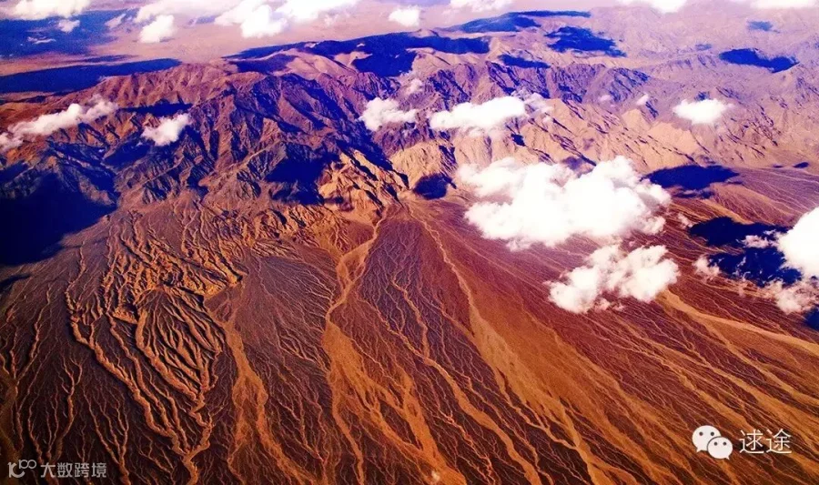 1451023400354084321.jpg