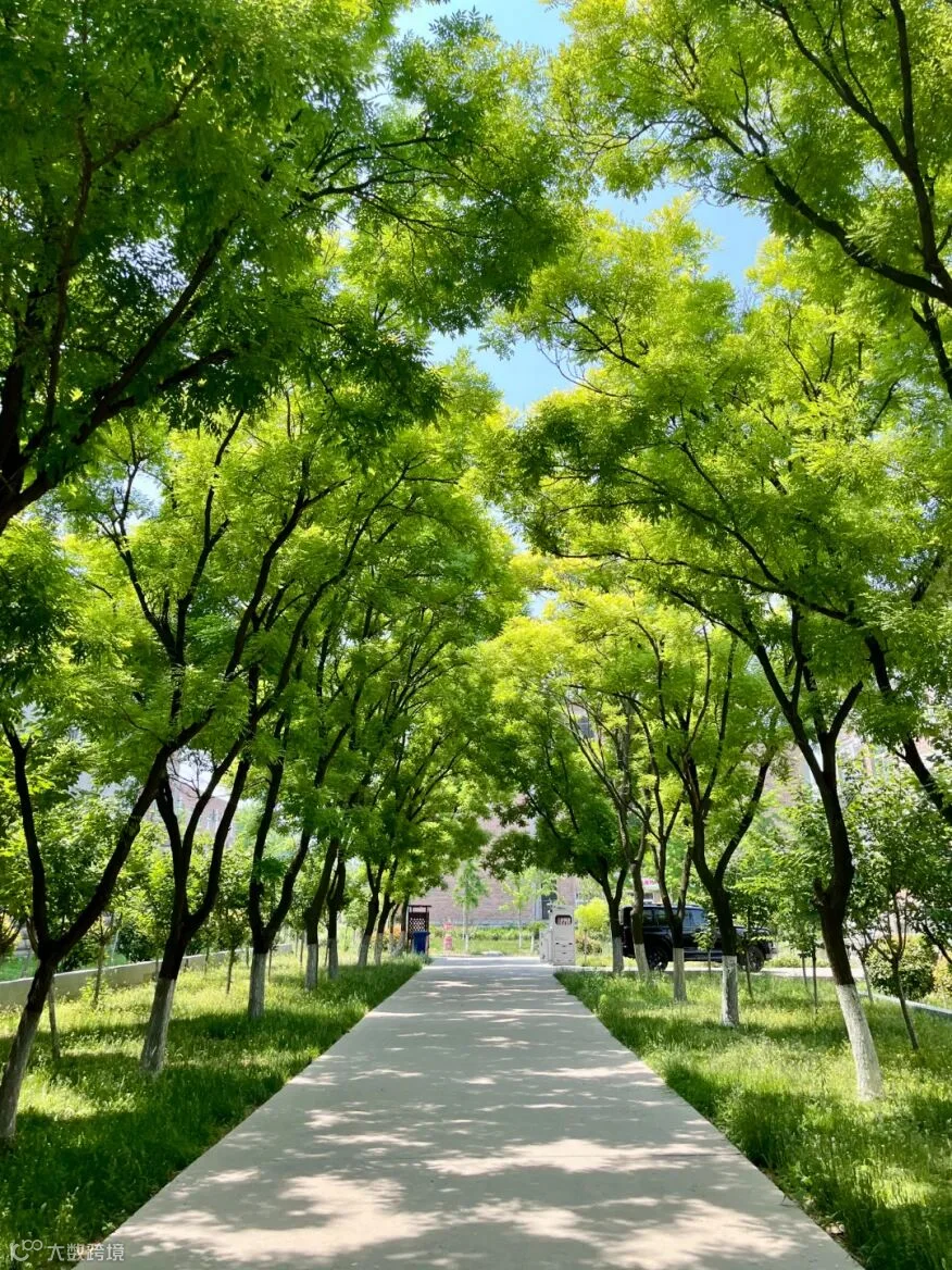 《绿影漫道》刘雅轩 经济管理系.jpg