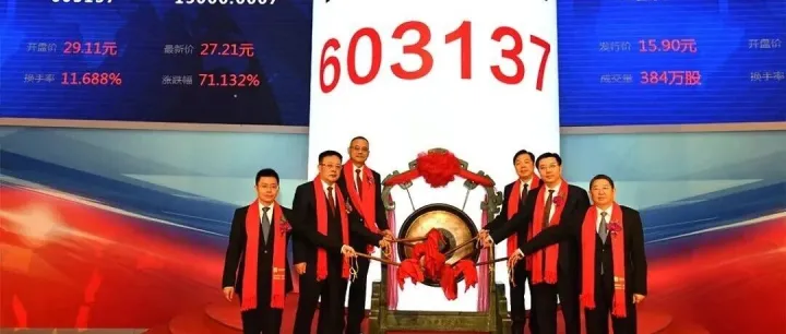 603137，跨界收购存储公司