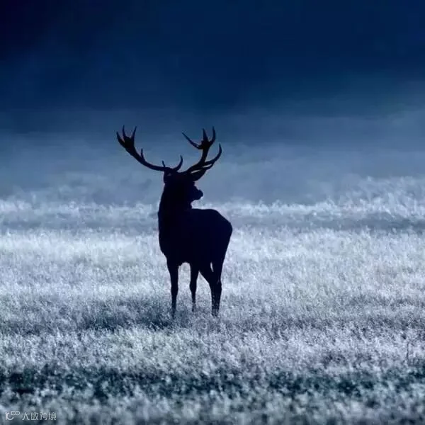 1451288045130528.jpg
