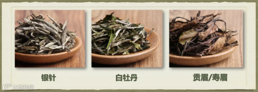 白茶的分类-含贡眉名字-2.png