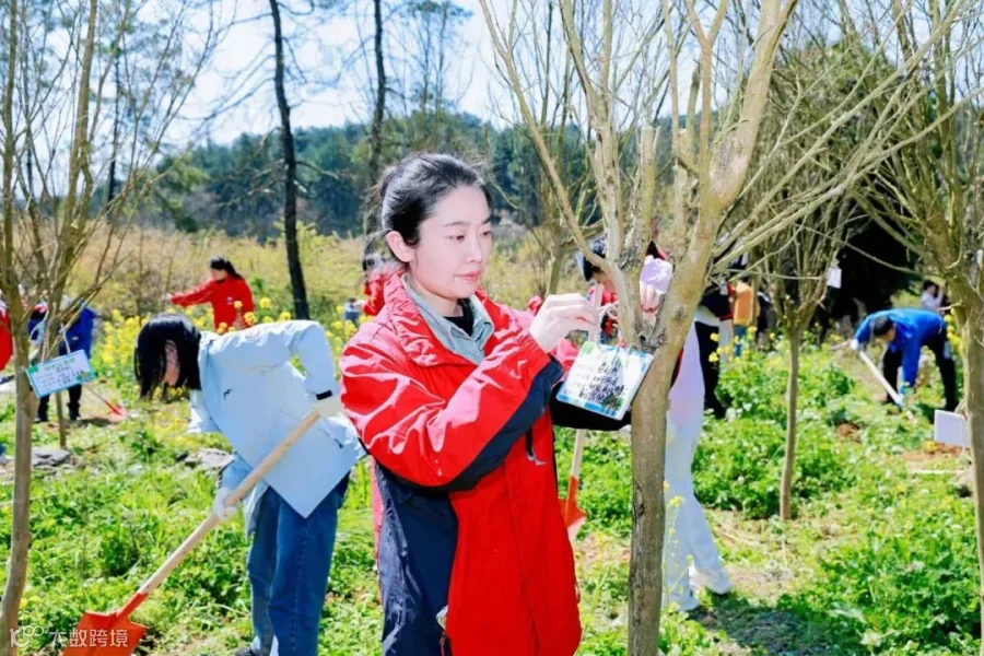 插图