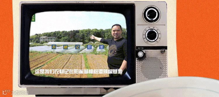 3-动图.jpg
