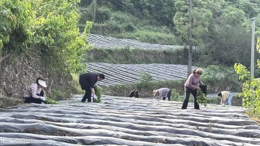 磨场沟.jpg