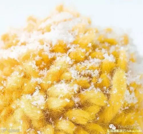 拍好雪景摄影师必备的20招