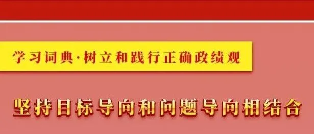 学习词典•树立和践行正确政绩观丨坚持目标导向和问题导向相结合