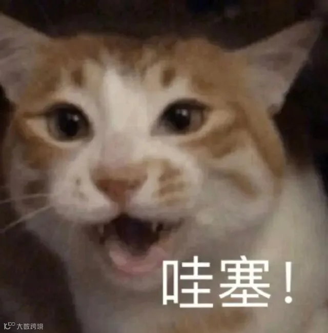 b85aa9ac01a2124da7c1cf7a52b6d796.jpeg