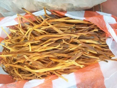 黄花菜.jpg