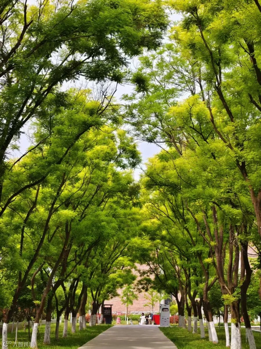 《蝉夏物语》宋宗华经济管理系2025大数据与会计3班15762108051.jpg