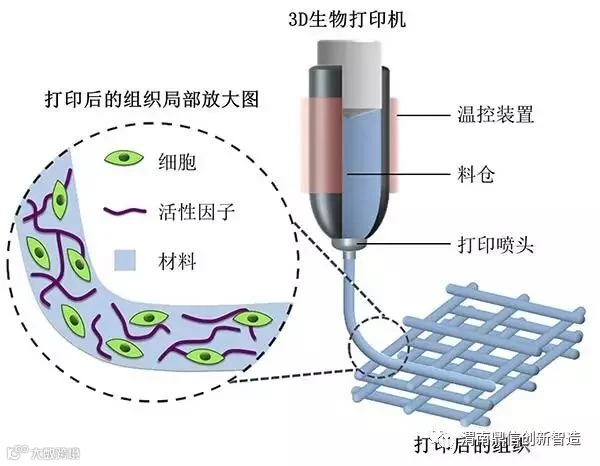 解析基于生物相容性材料的3D打印骨骼修复技术的研究与应用