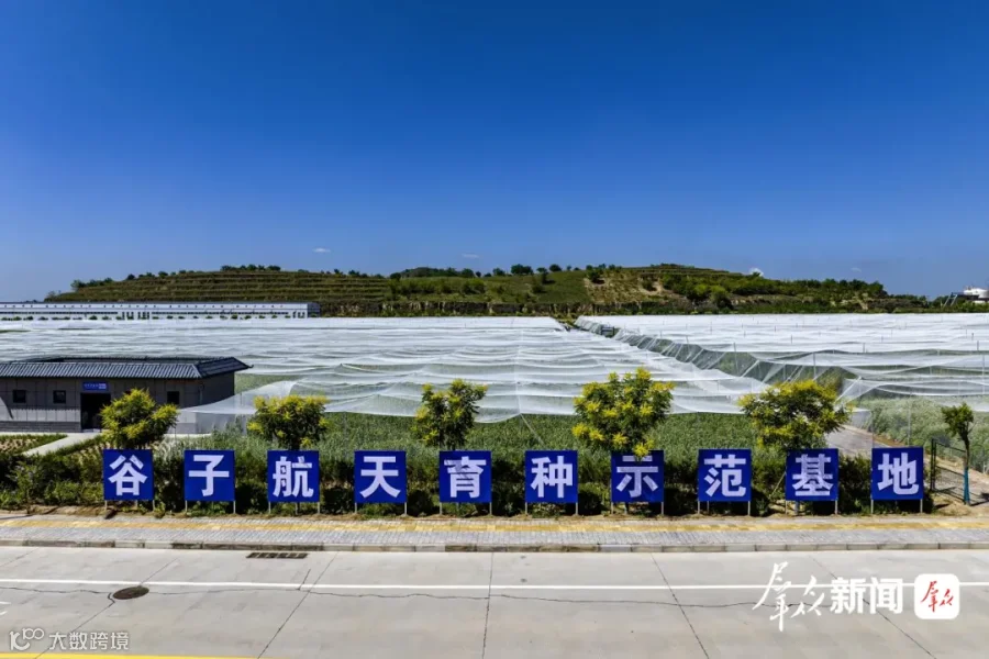 配图2