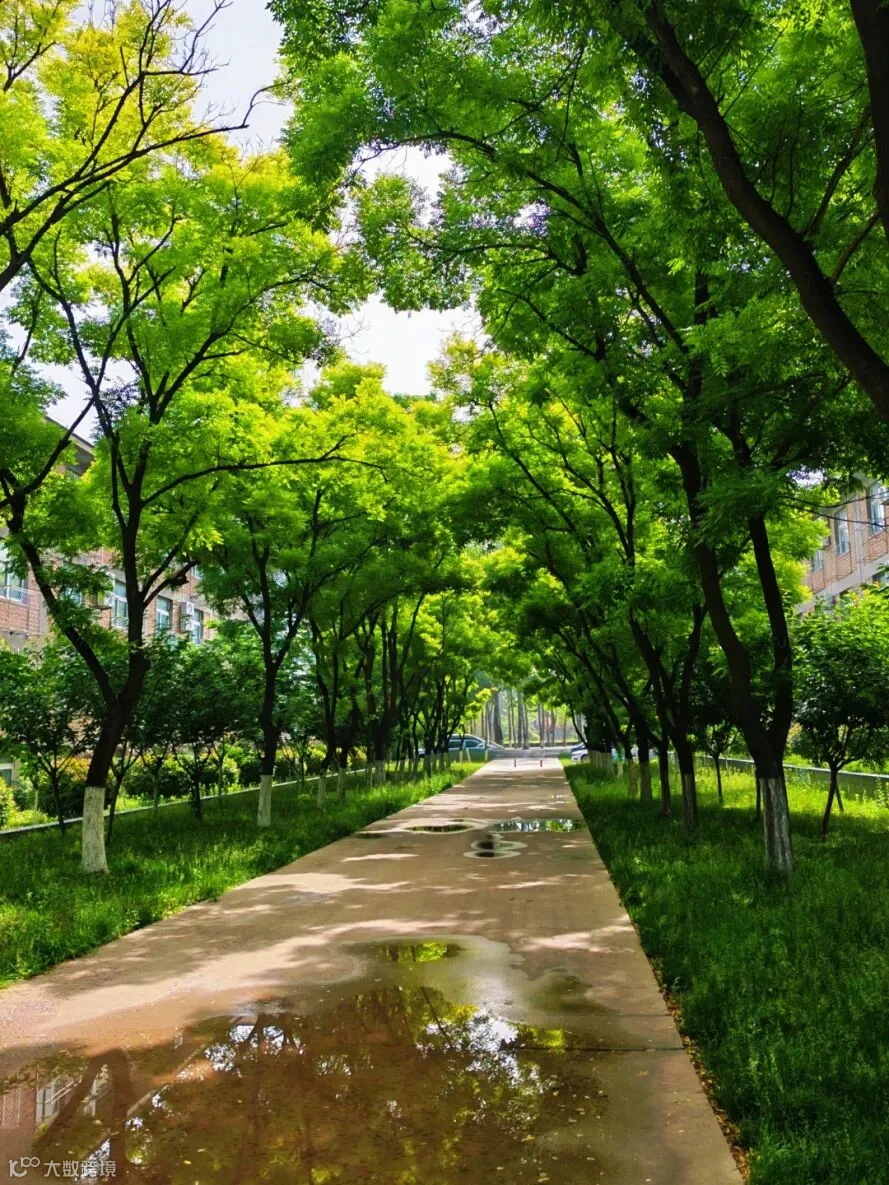 《雨后绿茵》姜希玥商务外语系商务日语一班18596181718.jpg