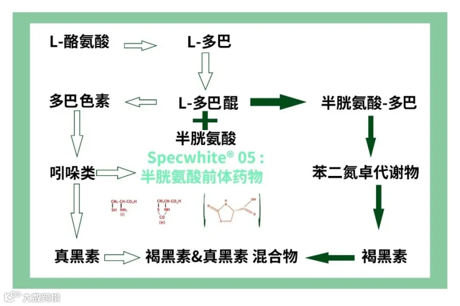 美白历程图2.jpg
