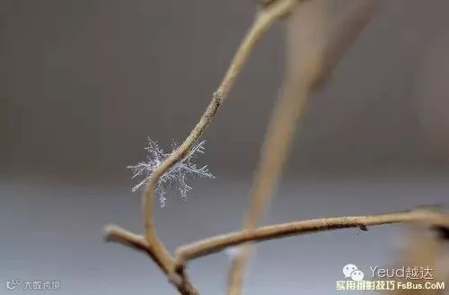 拍好雪景摄影师必备的20招