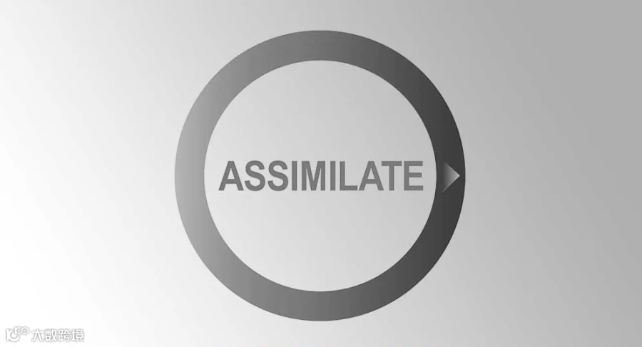 assimilate-scratch-generic_副本