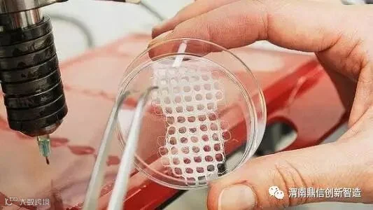 解析基于生物相容性材料的3D打印骨骼修复技术的研究与应用