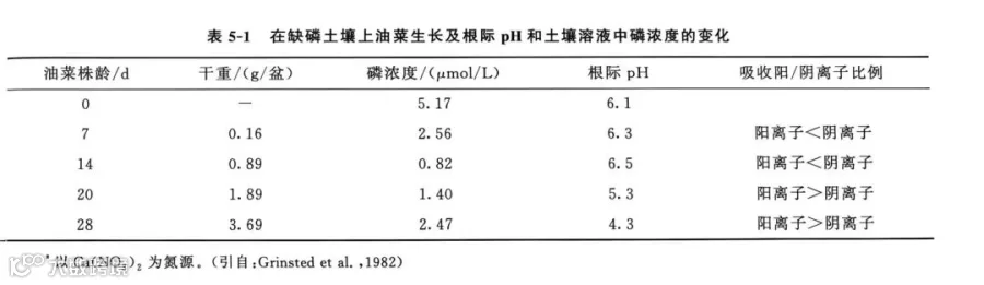3e38a994aa16f307403ac1839dcc015a.jpg