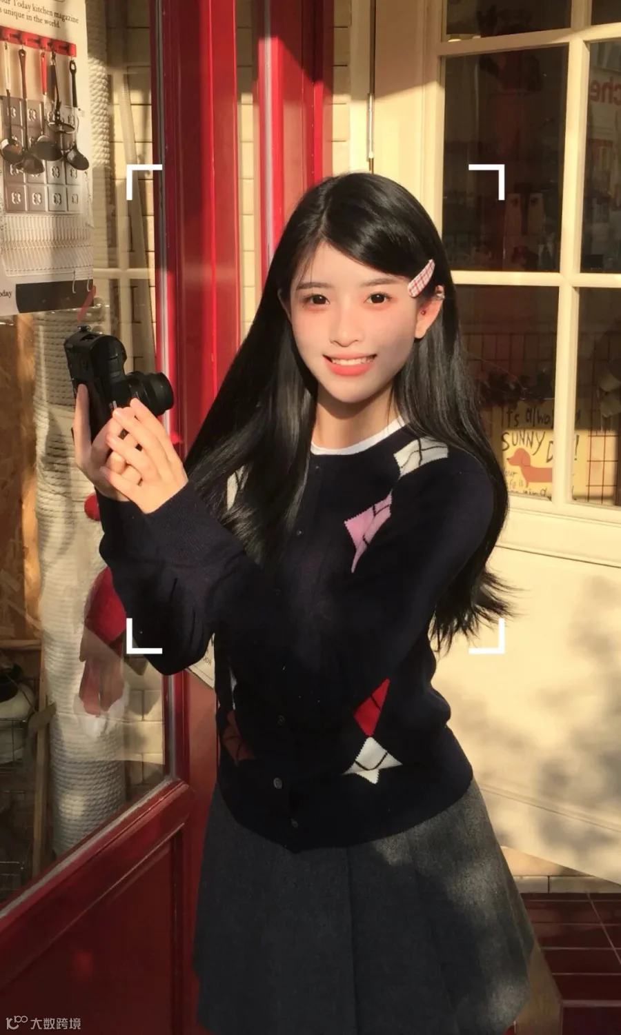 插图