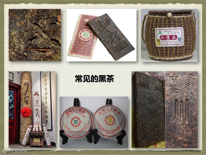 黑茶分类.png