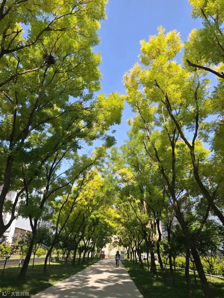 《夏》盛露露 经济管理系.jpg