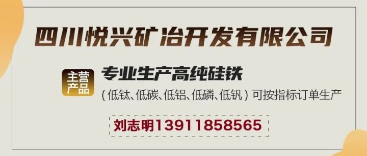 <em>新余</em>钢铁高纯硅铁招标公告