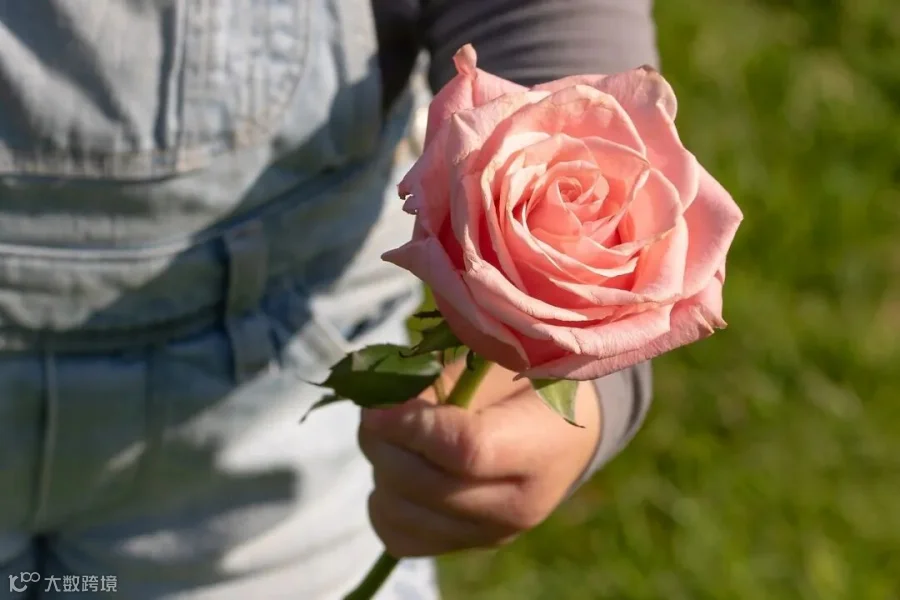 rose-3415370_1280.jpg