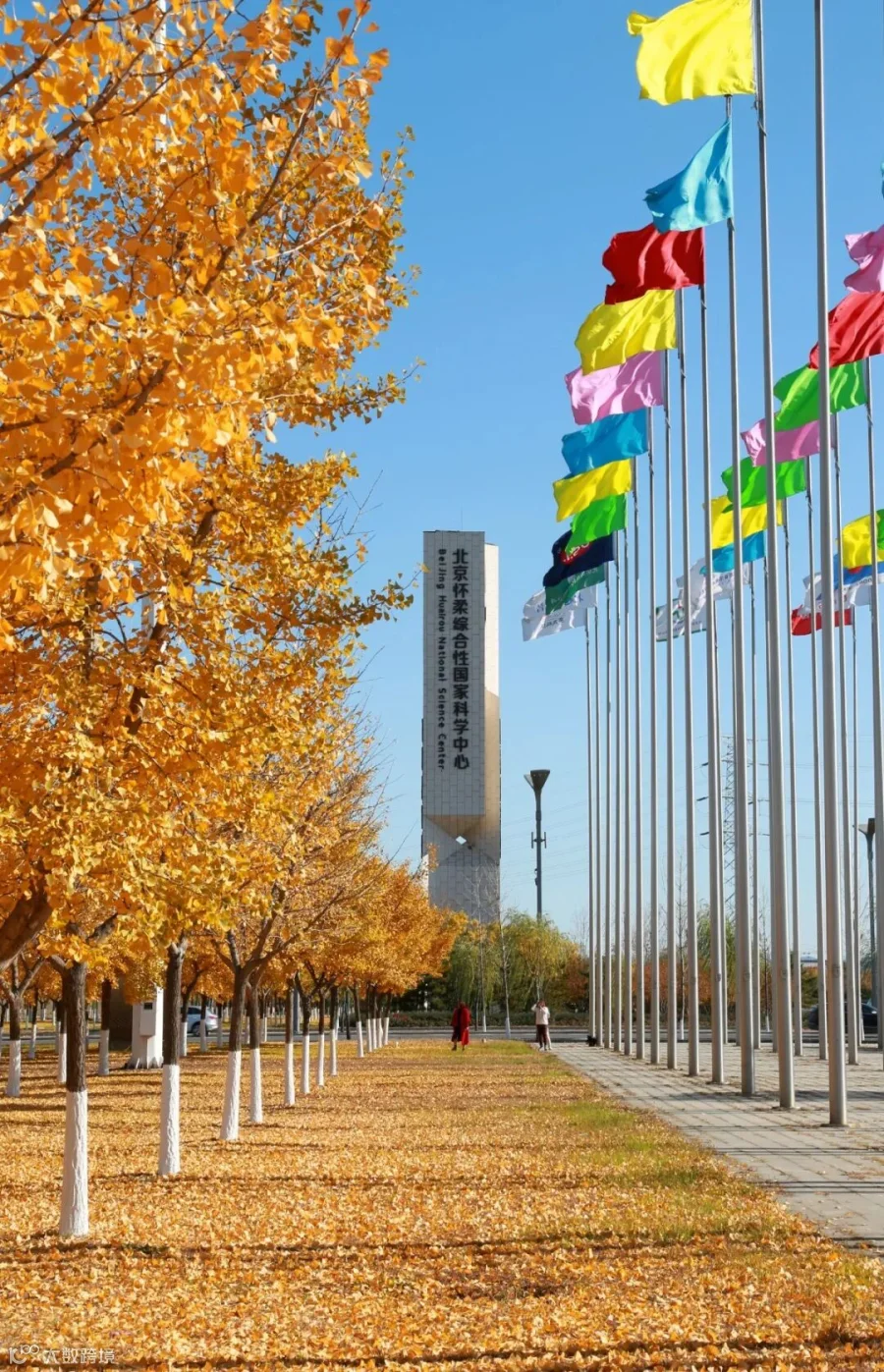微信图片_20201103141711.jpg