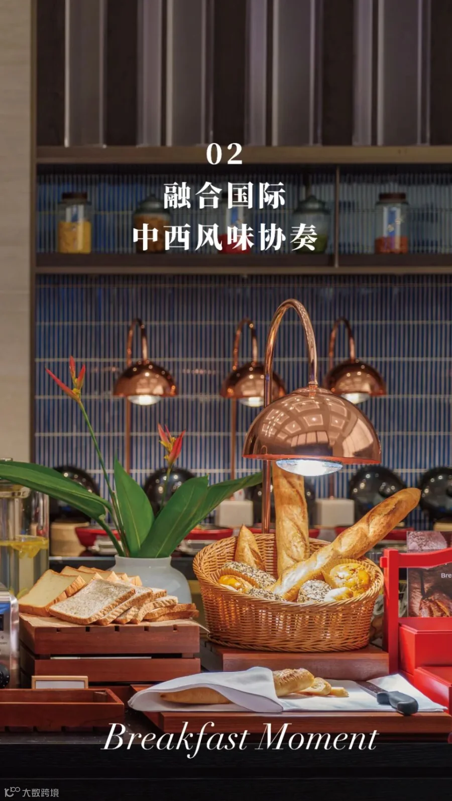 早餐推文_画板 1 副本 7.jpg
