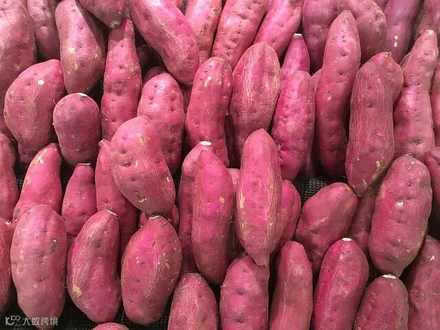 sweet-potato-1666707__480.jpg