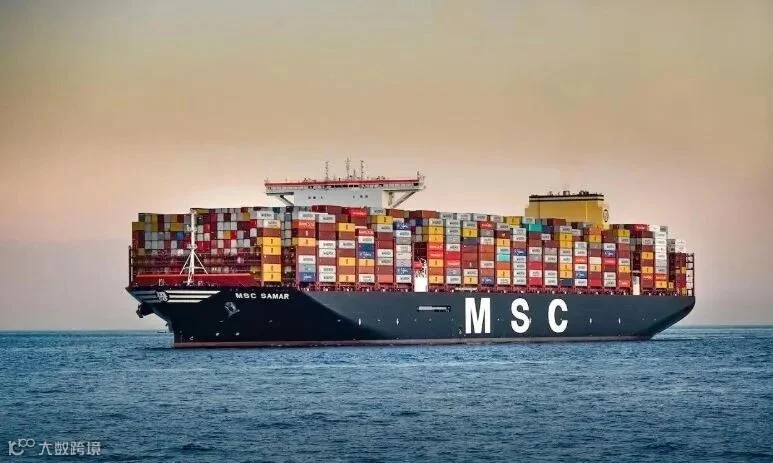 MSC 集装箱船 1.JPG