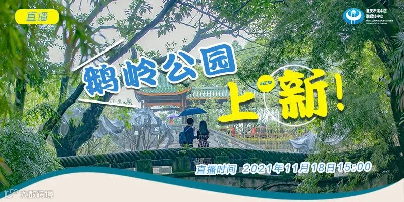 1637132779357_1637132594559_直播.jpg