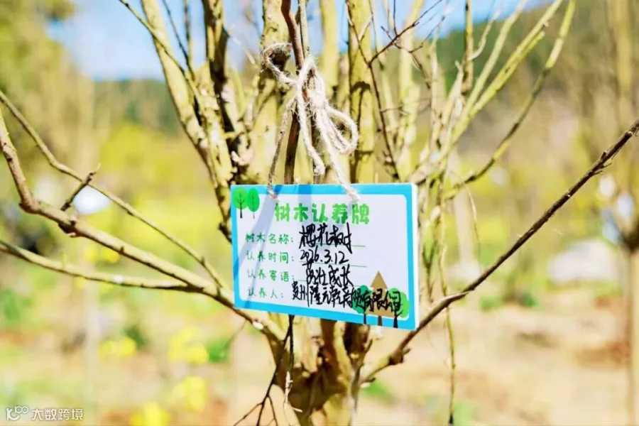 插图