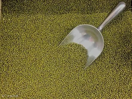 moong-beans-2313102__340.jpg