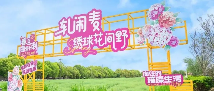 绣球花开！阿特麦限定美食、亲子野趣、诗意民宿…这份吃喝玩乐攻略请收好！