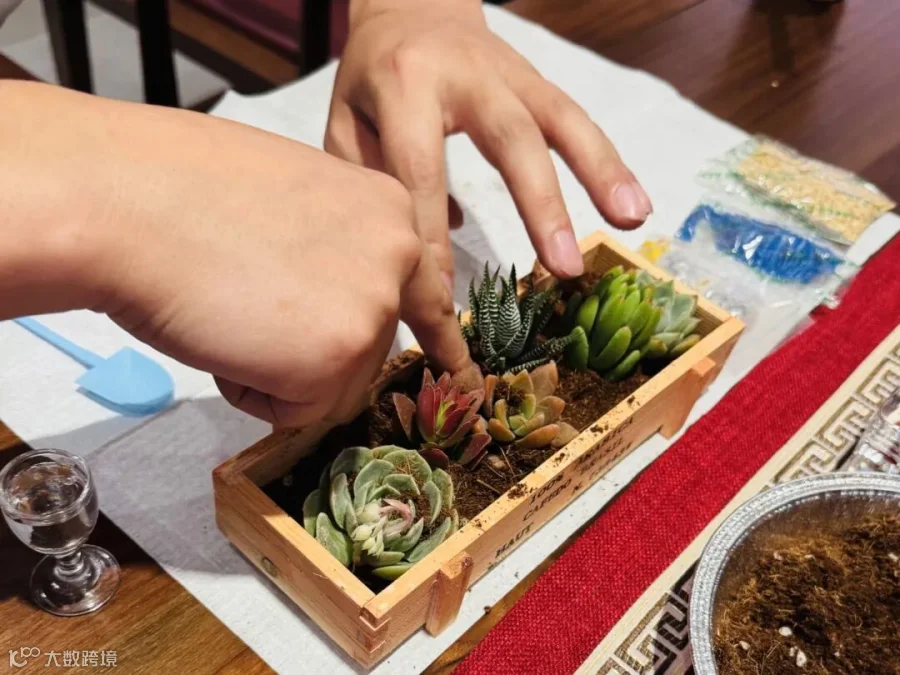 插图