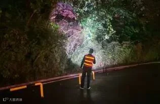 石油路街道.jpeg