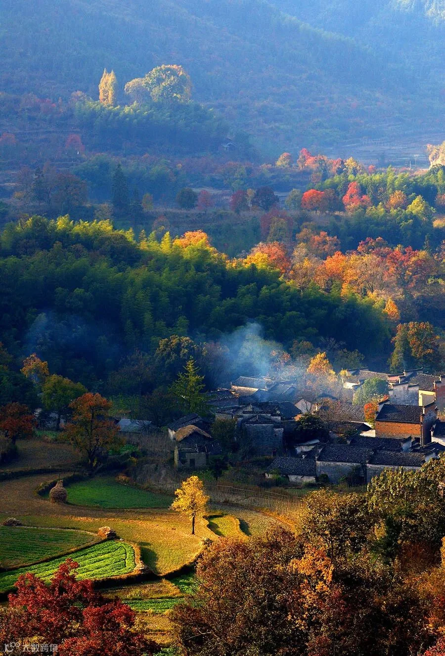 三等奖:秋染山乡 常晓元(建议).jpg