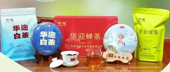 被问爆的<em>河源</em>金奖好茶，在这→