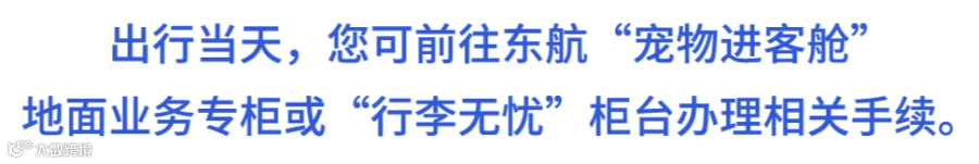 宠物出行东航无忧612_09.png