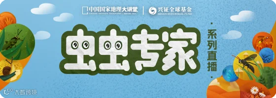 虫虫专家560x200.png