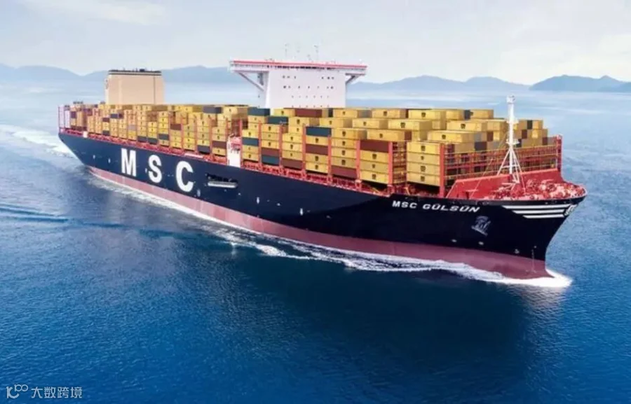 MSC 集装箱船 2.JPG