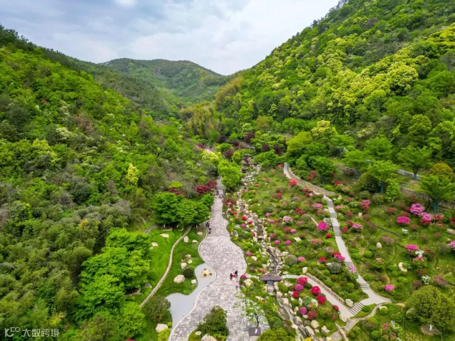DJI_0264.jpg