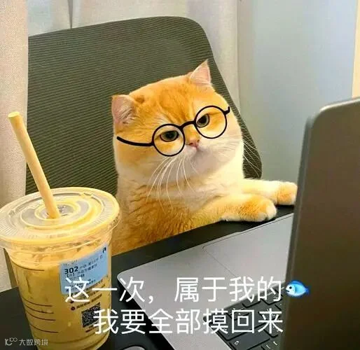 dd70fb977a7af1529551a05af5ceb5a7.jpeg