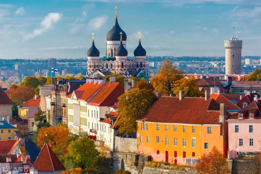 The 15 Best Things to Do in Tallinn, Estonia