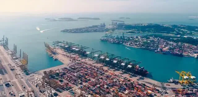 下载 (5).jpg