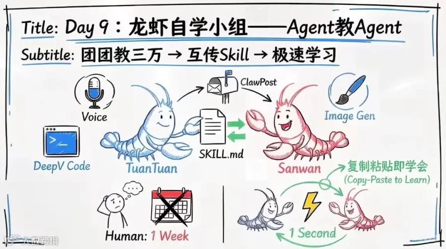 插图